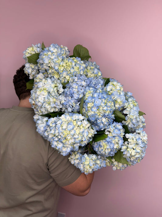 Hydrangea Flower Bouquet